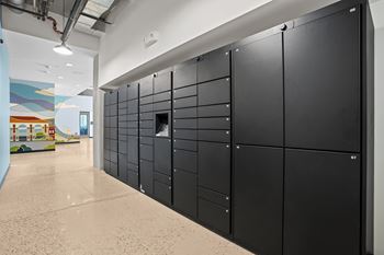 Package management